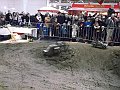 BSU 1 (15)